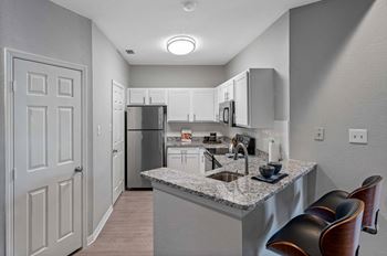 Luxurious apartment kitchen - tampa